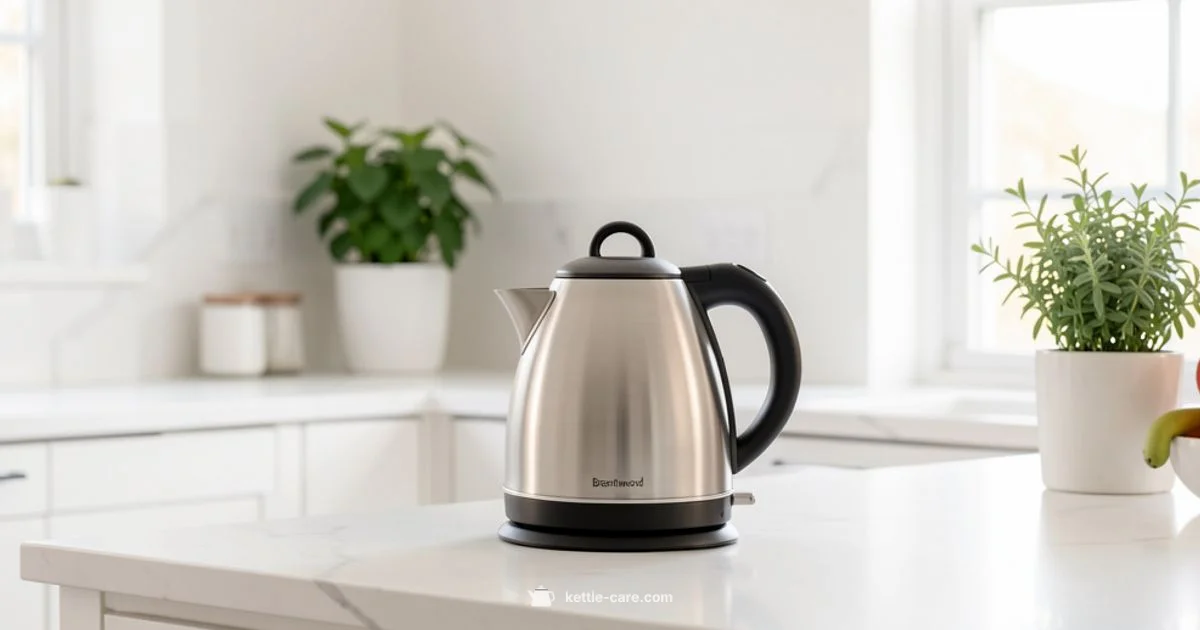 Brentwood Kettle Care