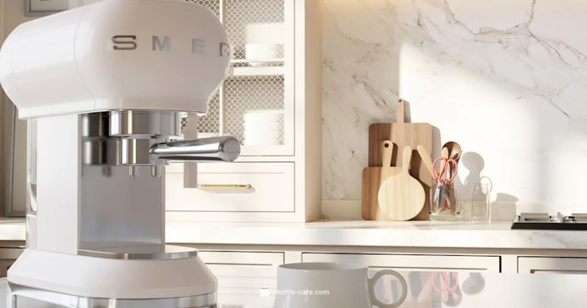 Cordless Kettle Basics - Kettle Care