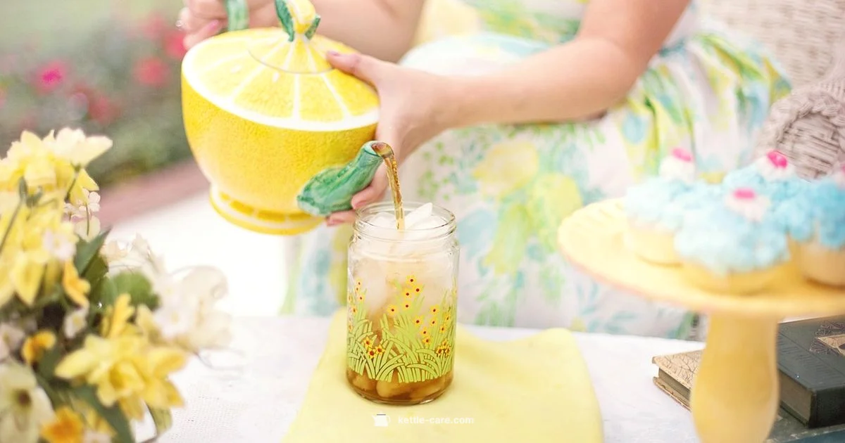 Laura Ashley Kettle - Kettle Care