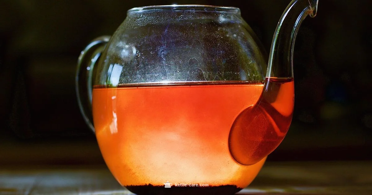 Kettle and Teapot - Kettle Care