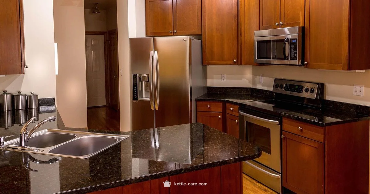 Kettle and Toaster Set - Kettle Care