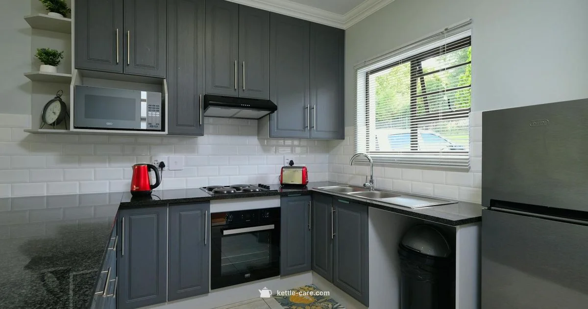 Precision Pour Kettle Precision Pour Kettle - Kettle Care