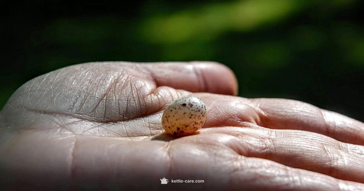 Wrist-Safe Kettlebell Wrist-Safe Kettlebell - Kettle Care