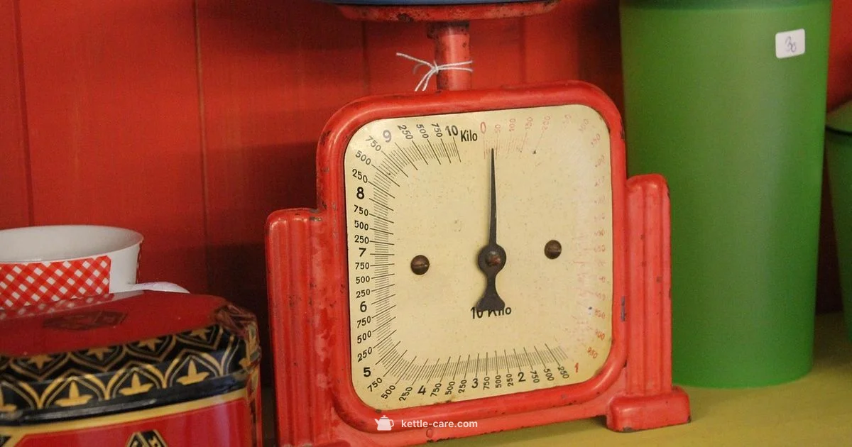 Kettle Weight Set - Kettle Care