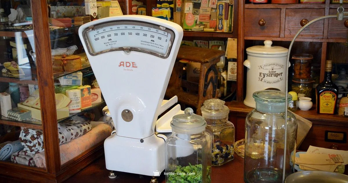 Kettle Sale Essentials Kettle Sale Essentials - Kettle Care