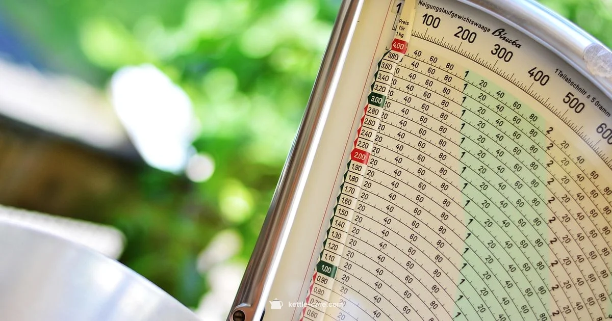 Kettle Scale Fix - Kettle Care