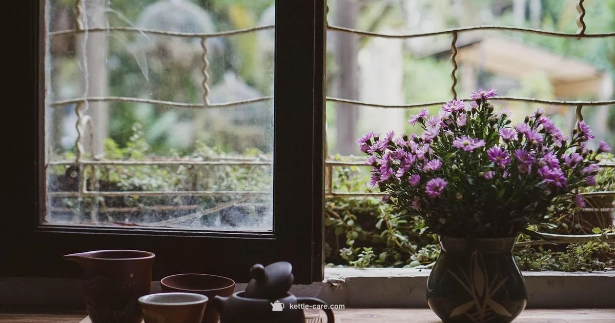 Cute Kettle Guide - Kettle Care