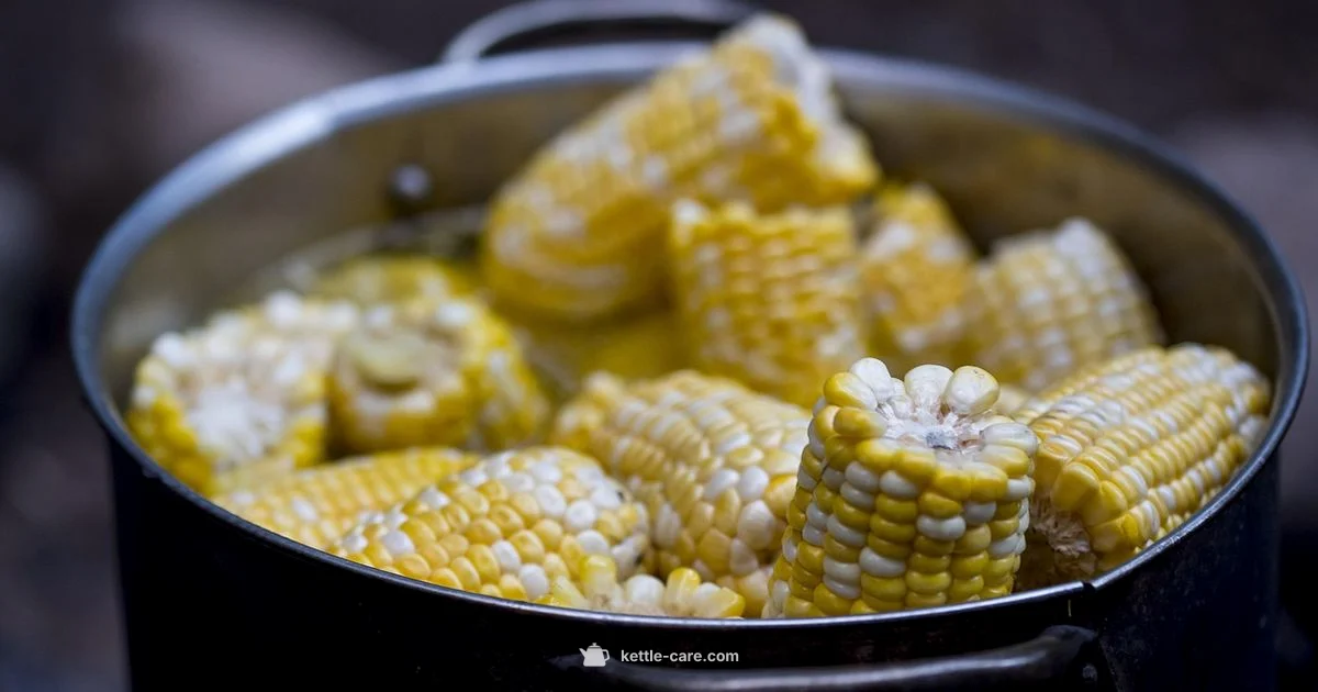 Kettle Essentials - Kettle Care