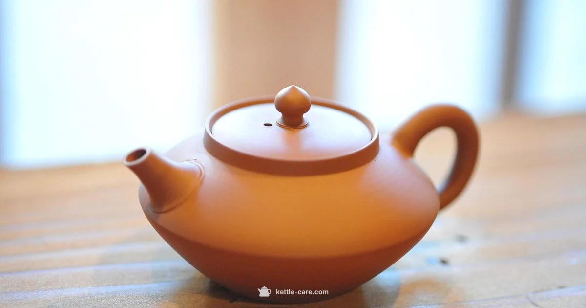 Teapot vs Kettle - Kettle Care