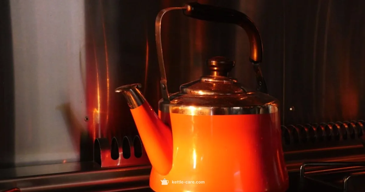 One Cup Boil Guide - Kettle Care