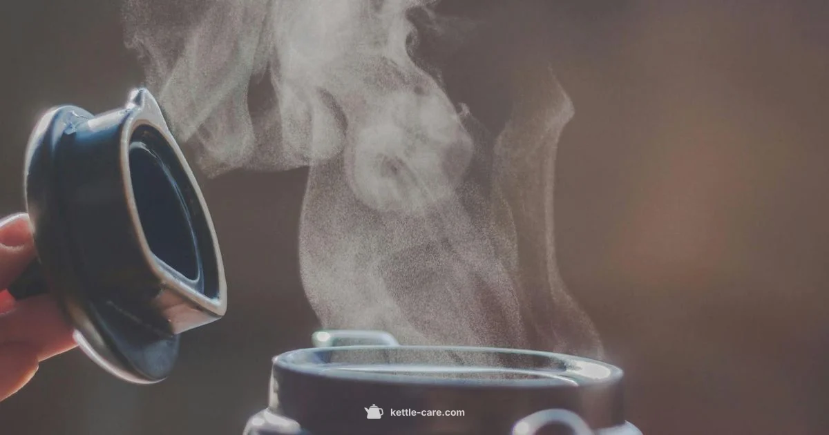 Kettle Clean Guide - Kettle Care