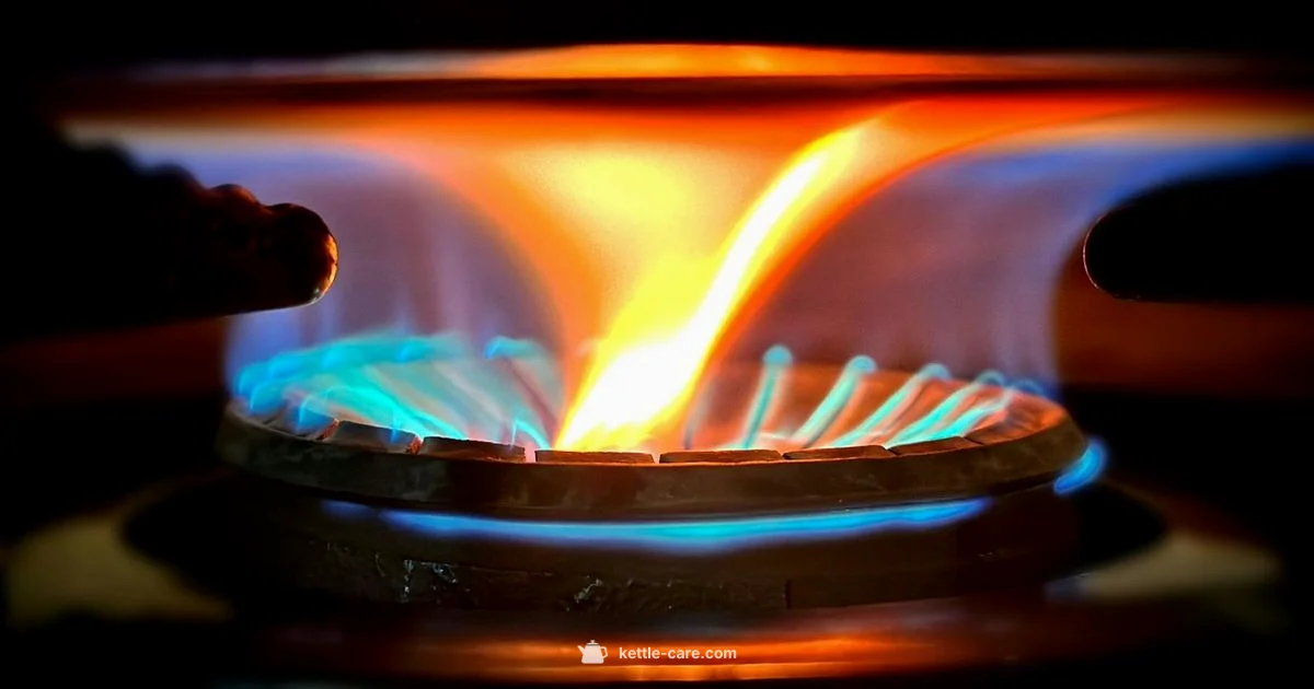 Buono Kettle Guide - Kettle Care