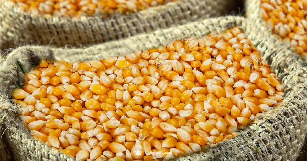 Kettle Corn Bag Care - Kettle Care