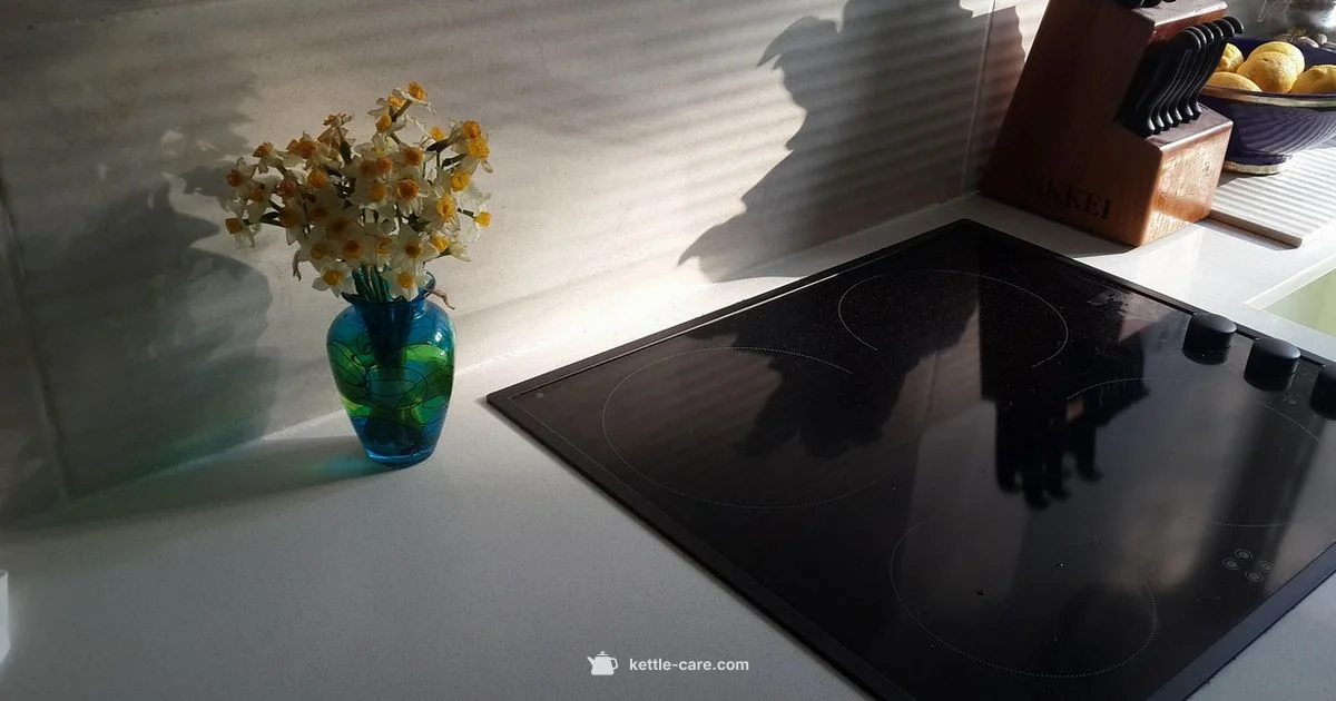 Kettle Lifespan - Kettle Care