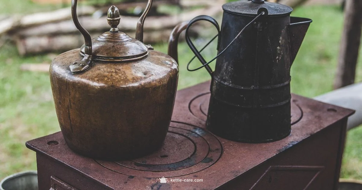 Kettle Whistle Closeup - Kettle Care