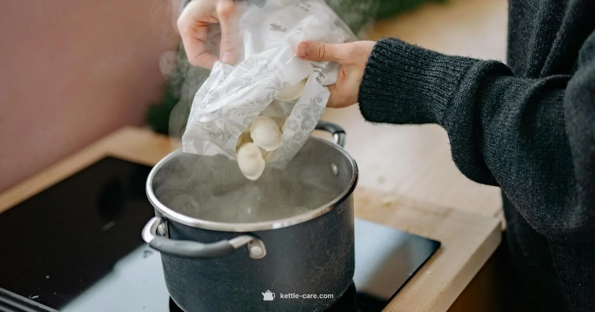 Pop Kettle Guide - Kettle Care