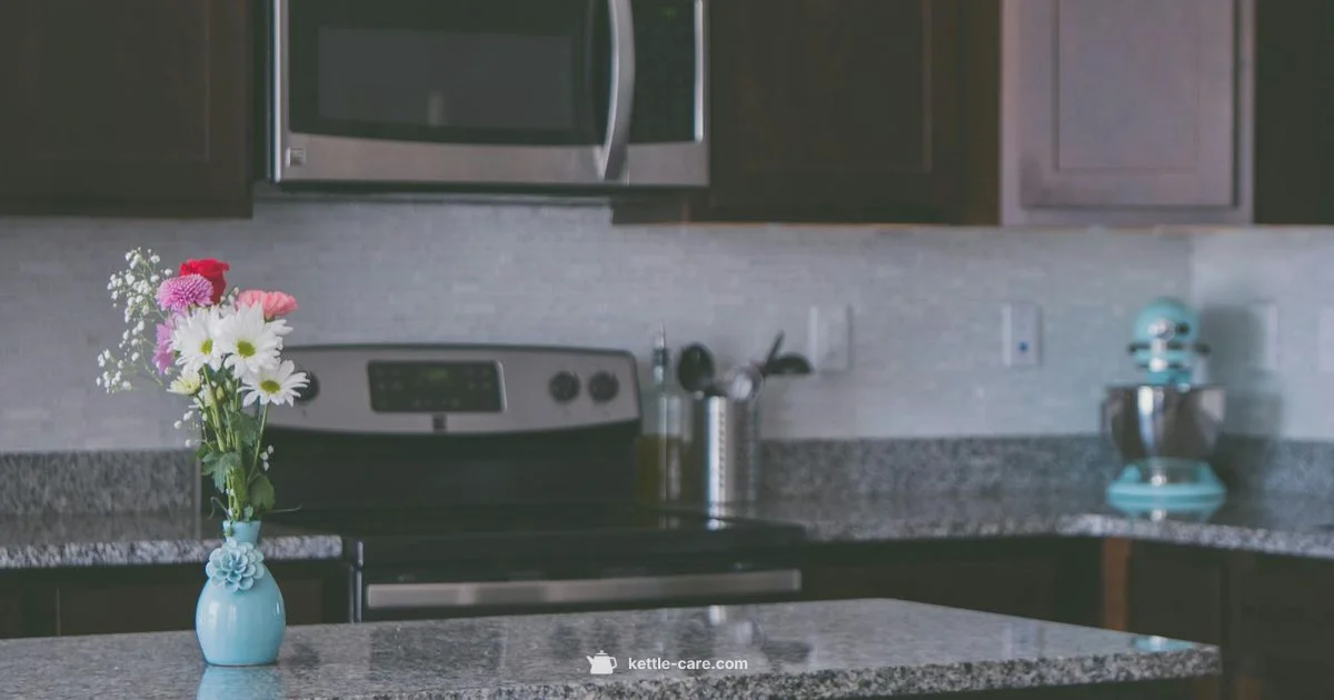 Bonavita Kettle Guide Bonavita Kettle Guide - Kettle Care