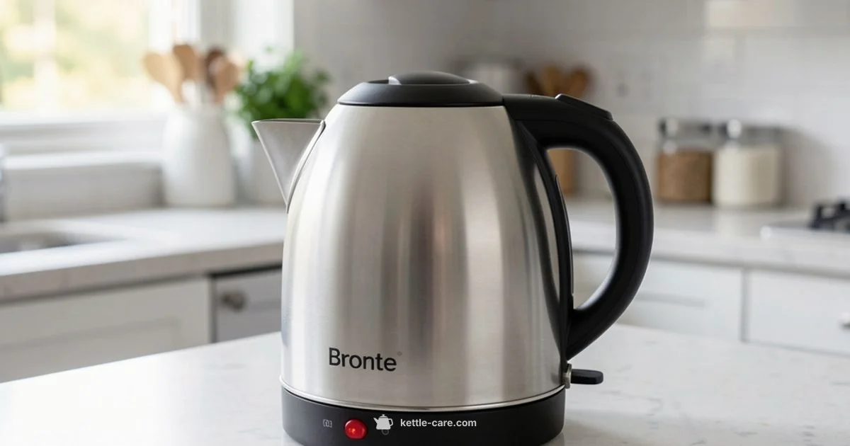 Bronte Kettle Review - Kettle Care