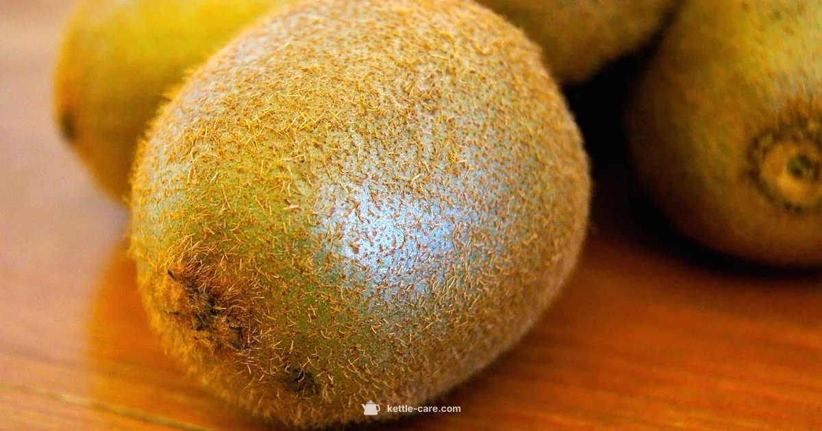 Best Kettle NZ 2026 - Kettle Care