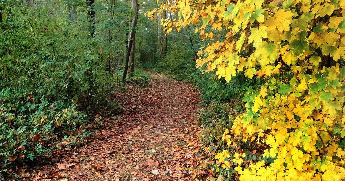 Kettle Moraine Scenic Drive - Kettle Care