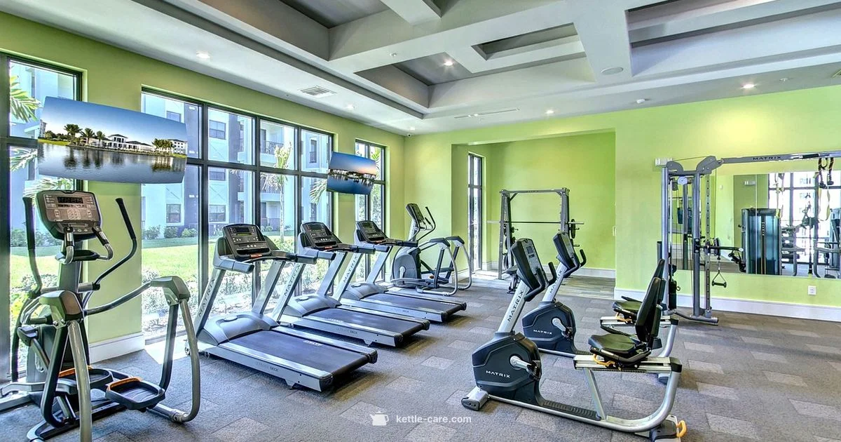 Top Kettlebell Moves - Kettle Care