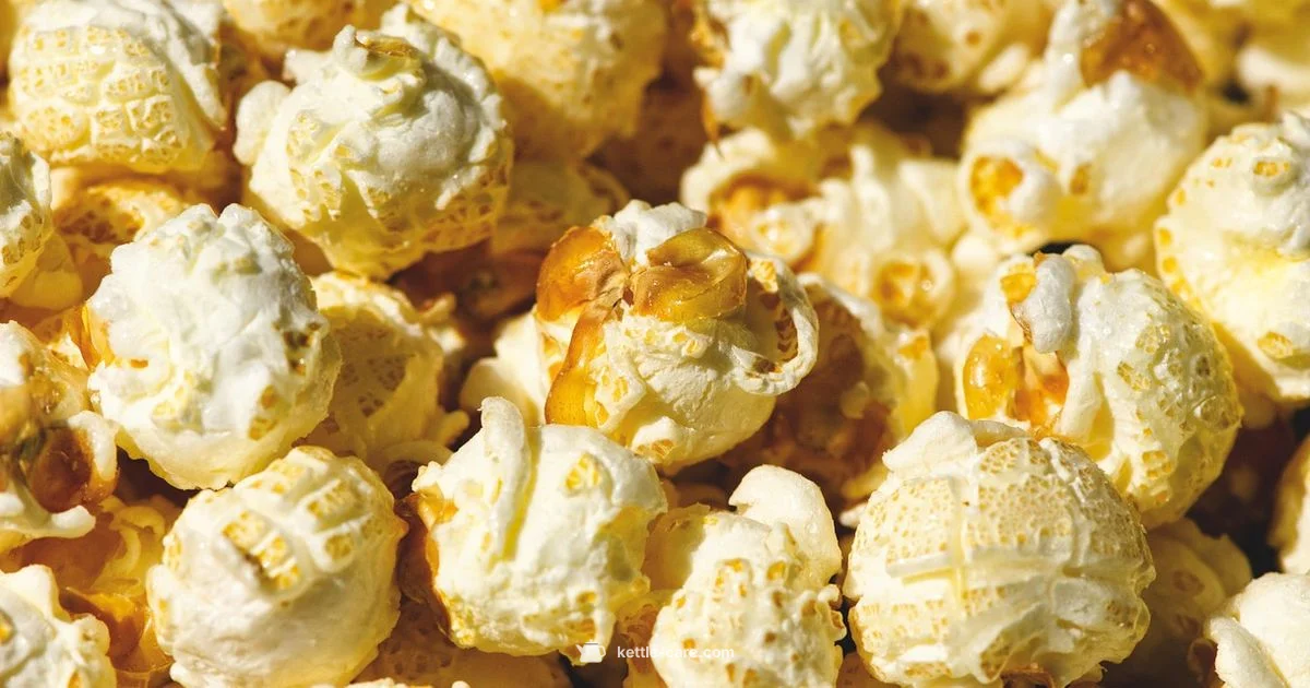 PopCorners Kettle Spotlight - Kettle Care