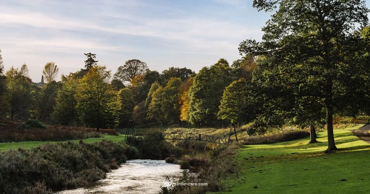 Kettle Creek Road Guide - Kettle Care