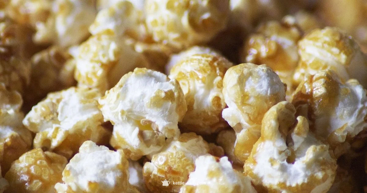 Kettle Corn Flavor Guide Kettle Corn Flavor Guide - Kettle Care