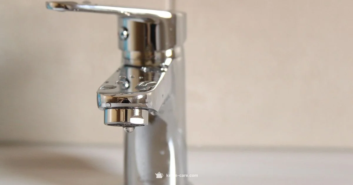 Quooker vs Kettle - Kettle Care