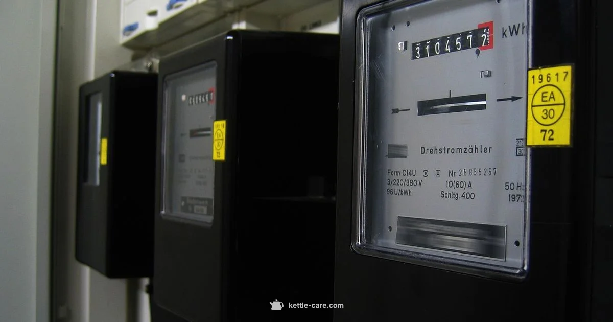 Kettle Energy Use - Kettle Care