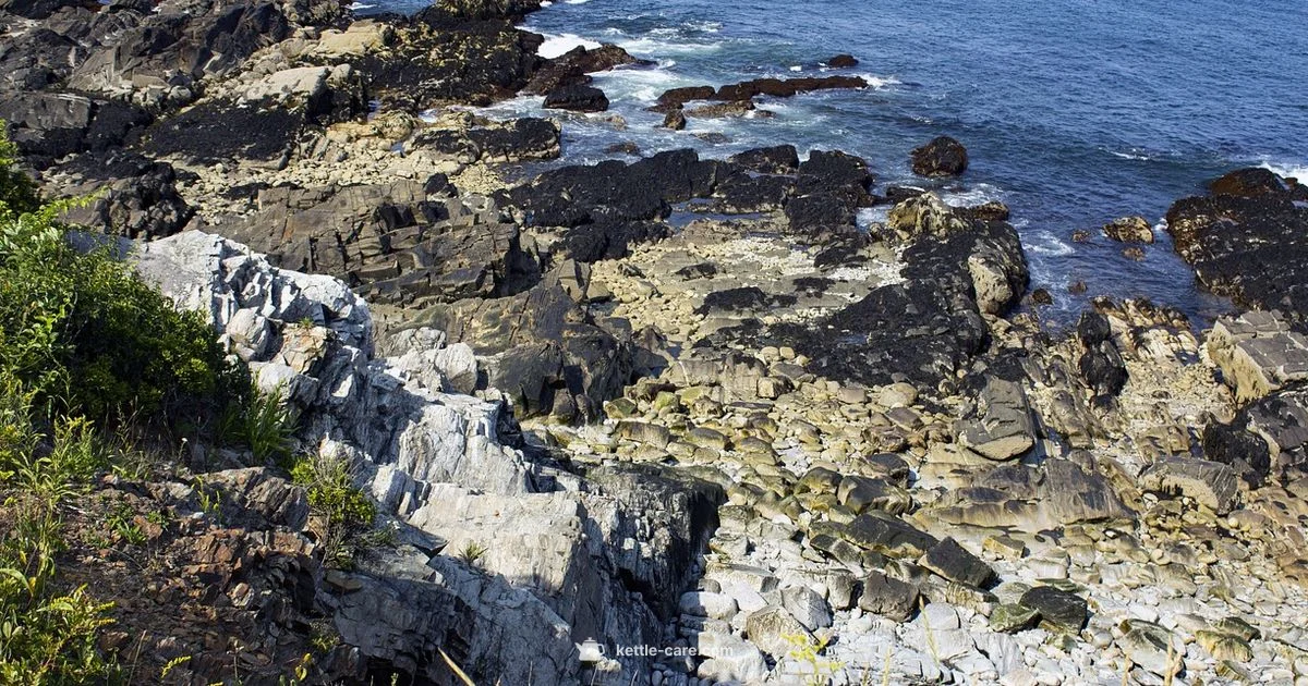 Kettle Cove Guide - Kettle Care