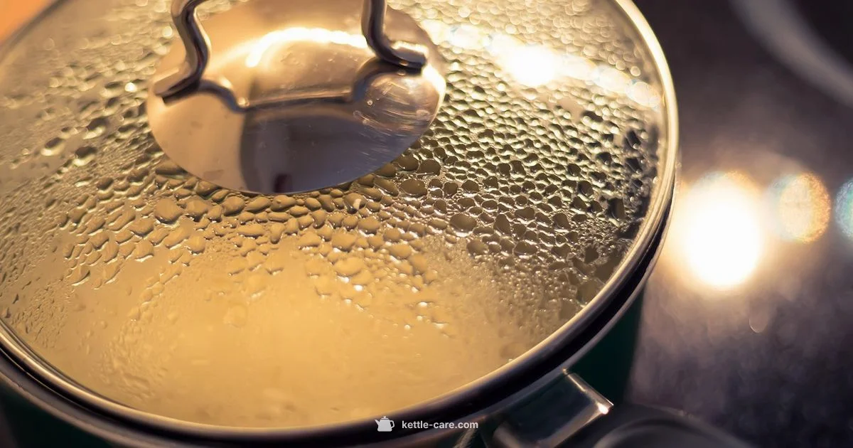 Kettle Noise Guide - Kettle Care