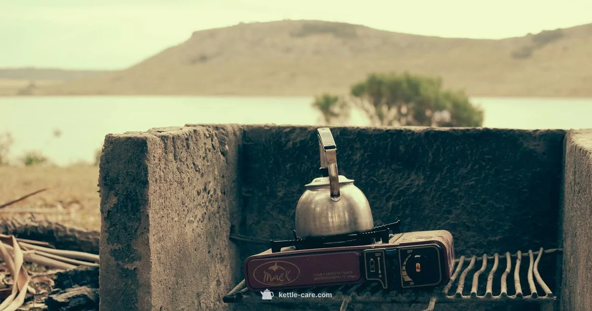 Gooseneck vs Regular - Kettle Care