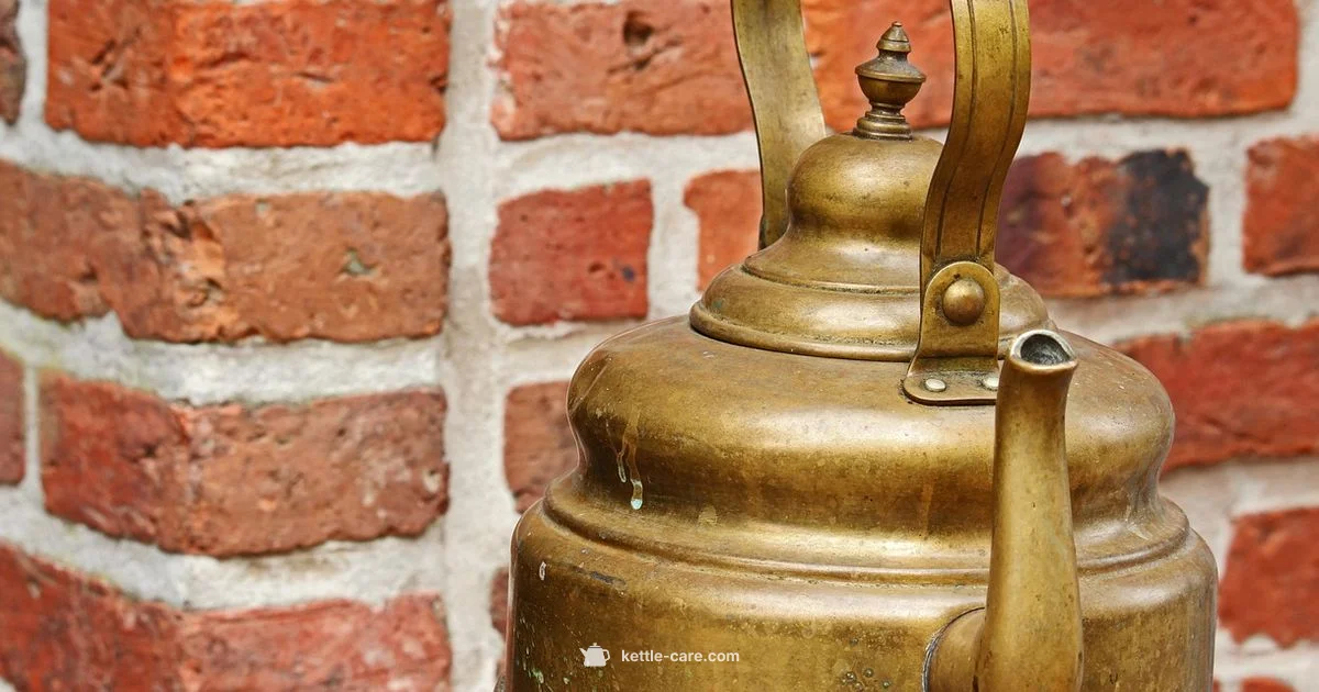 Reheat Water Safety - Kettle Care