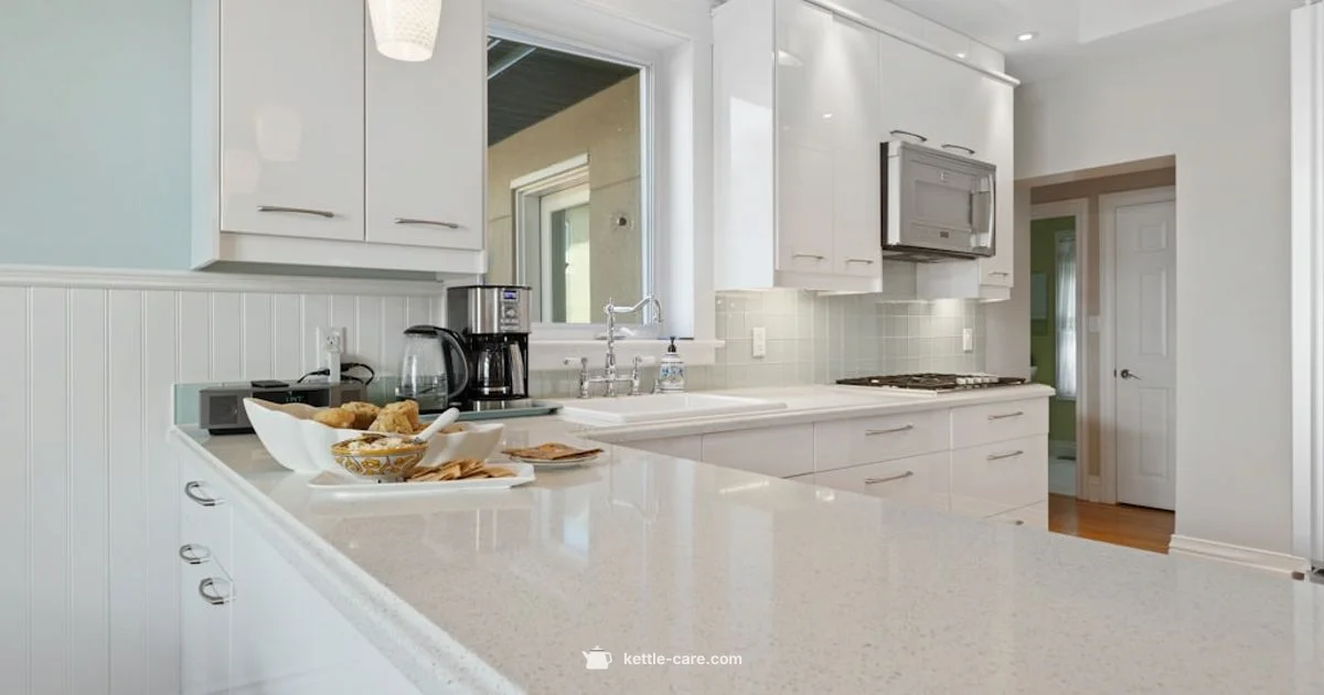 White Kettle and Toaster - Kettle Care