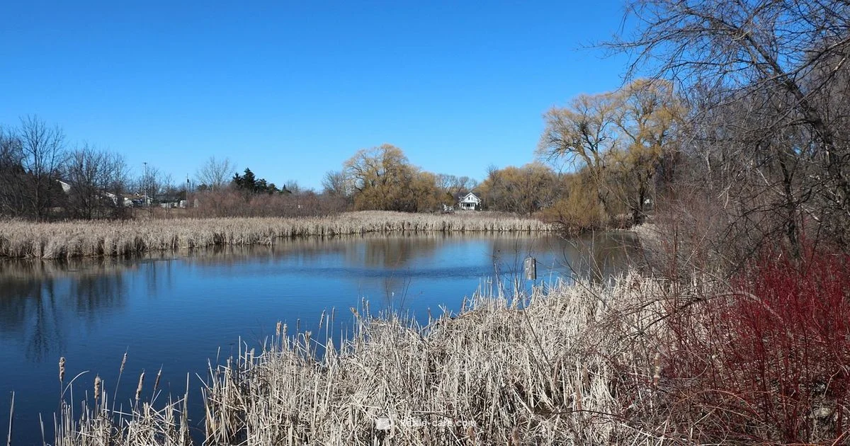 Kettle Pond Center - Kettle Care