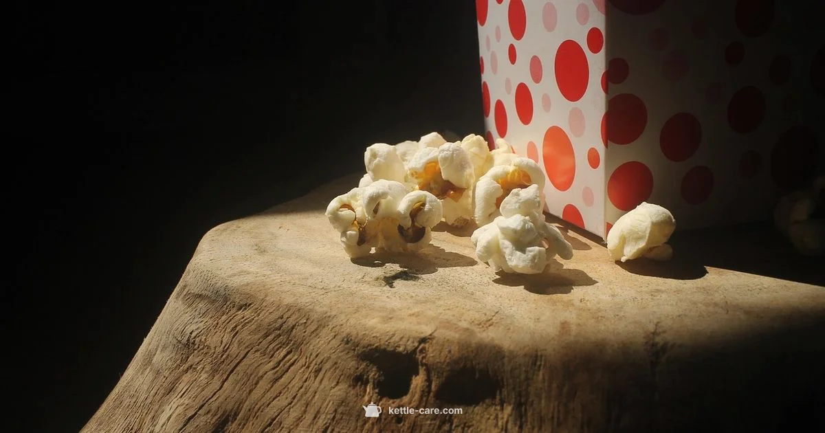 Kettle Corn Guide - Kettle Care