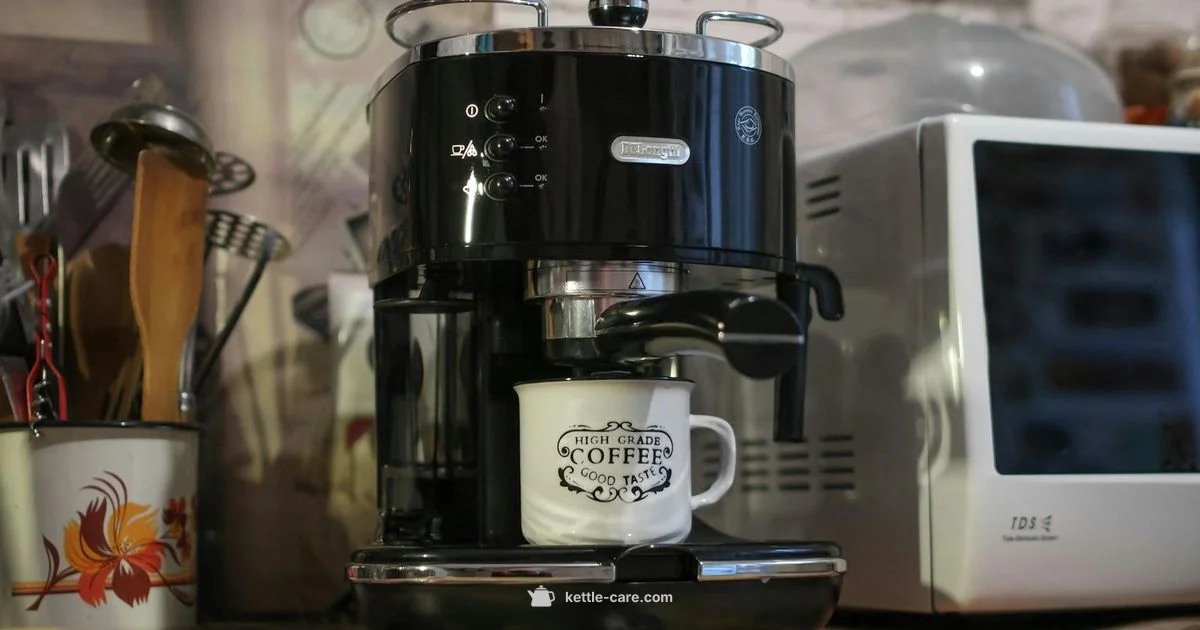 Delonghi Kettle Care