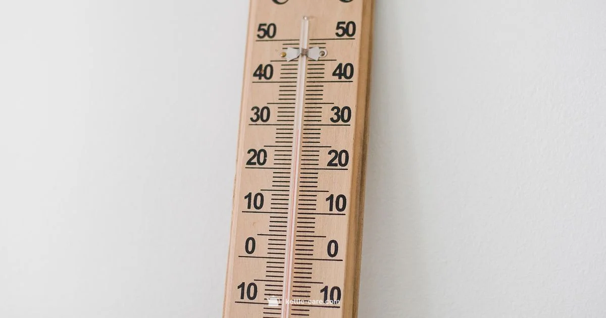 Kettle Thermometer Essentials - Kettle Care