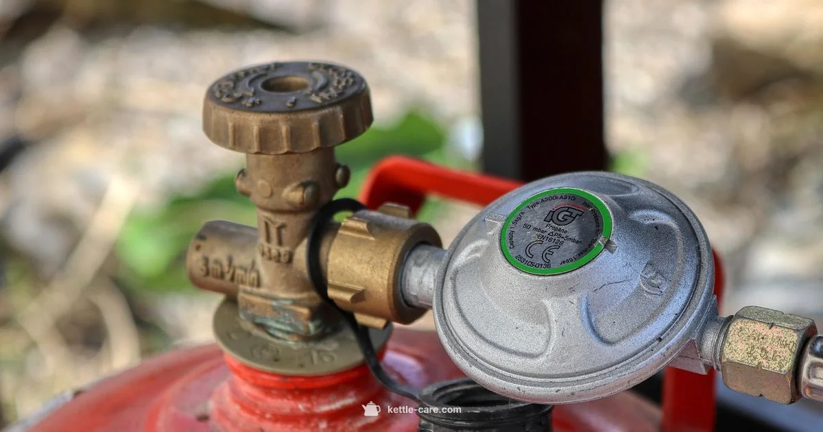 Kettle Without Plug - Kettle Care