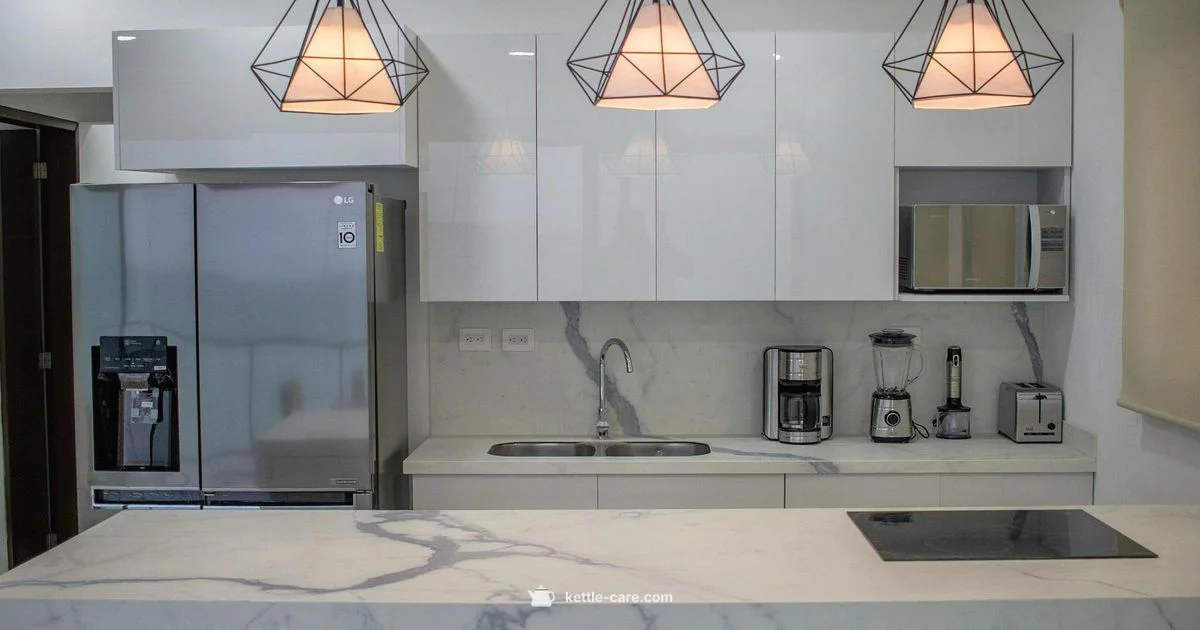 Kettle and Toaster Pair - Kettle Care