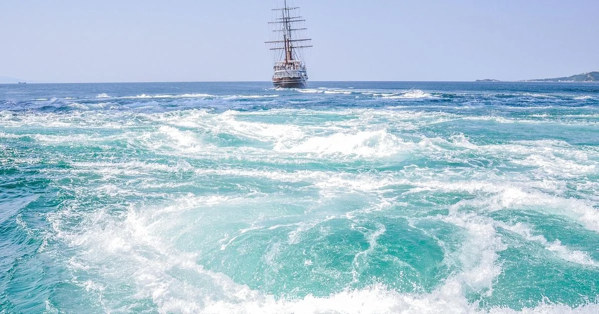 Weber Kettle Vortex - Kettle Care