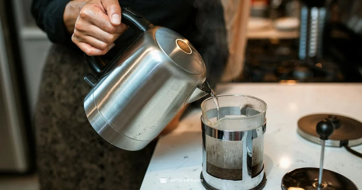 Quiet Kettle Guide - Kettle Care