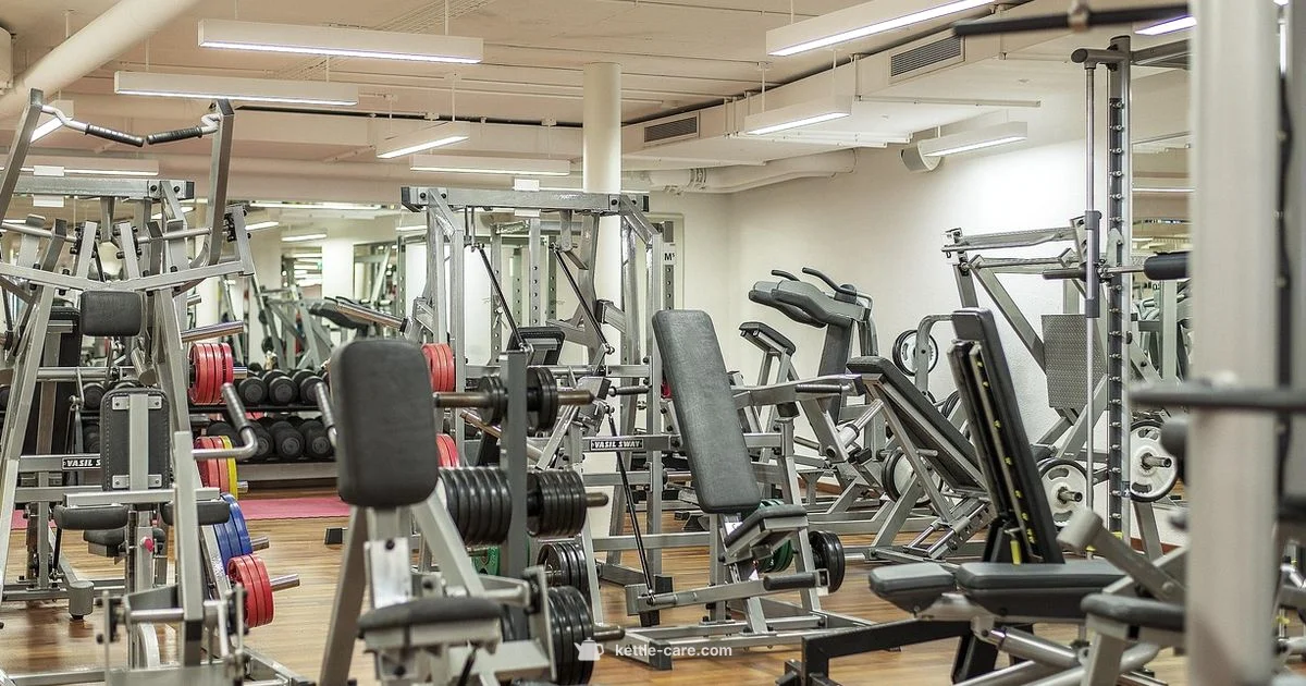 Kettlebell Type Guide - Kettle Care