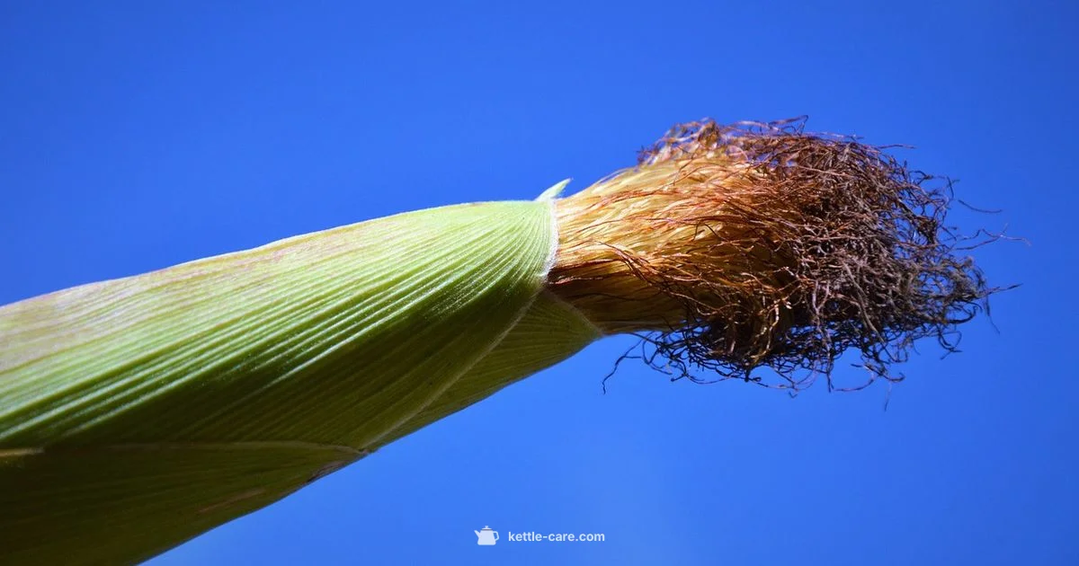 Kettle Corn Brand Spotlight - Kettle Care