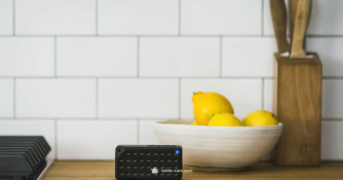 Pocket-Sized Kettle - Kettle Care