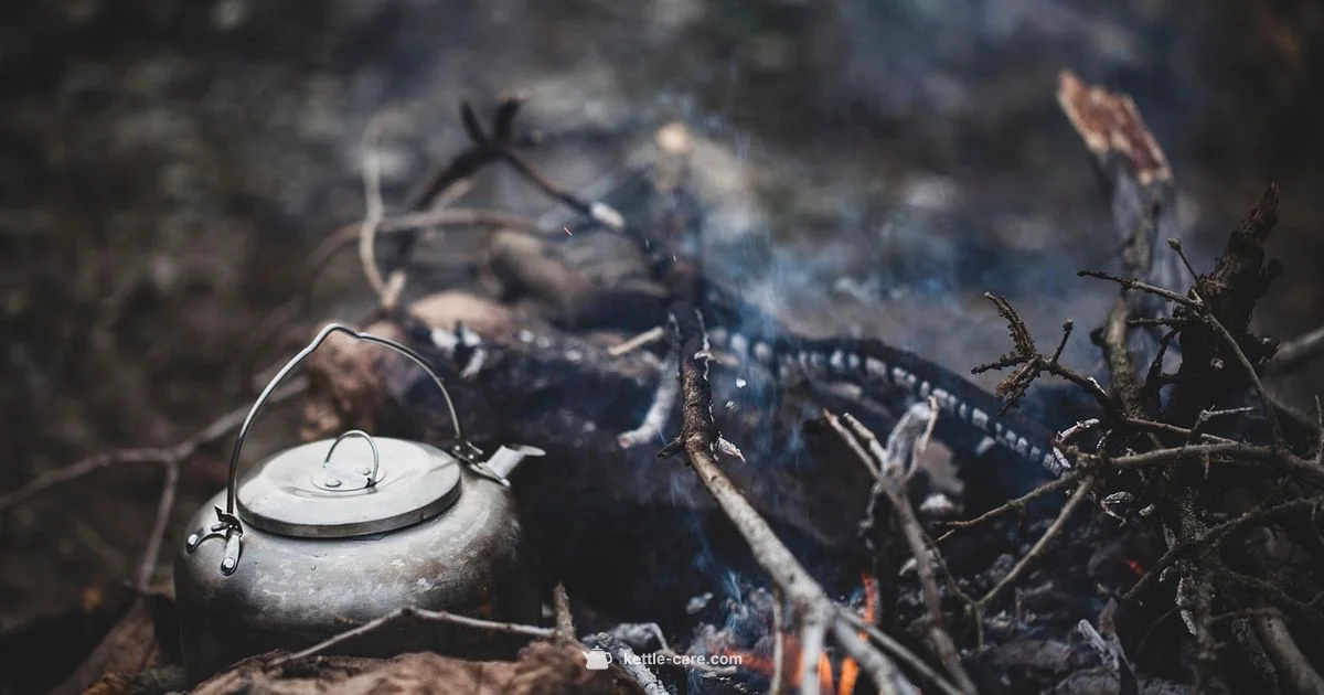 Kettle Wattage Basics - Kettle Care