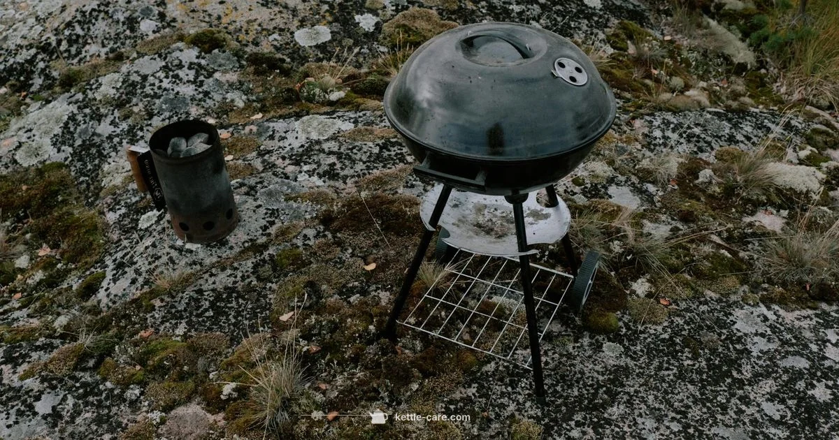 Weber Kettle Lighting - Kettle Care