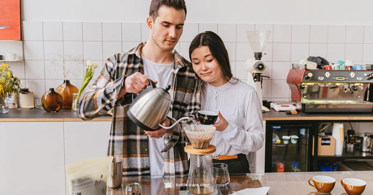 Zwilling Kettle Care