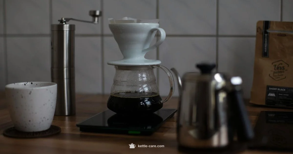 Brewista Kettle Essentials Brewista Kettle Essentials - Kettle Care